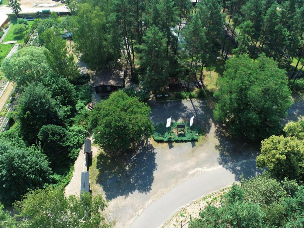Лісовий квиток